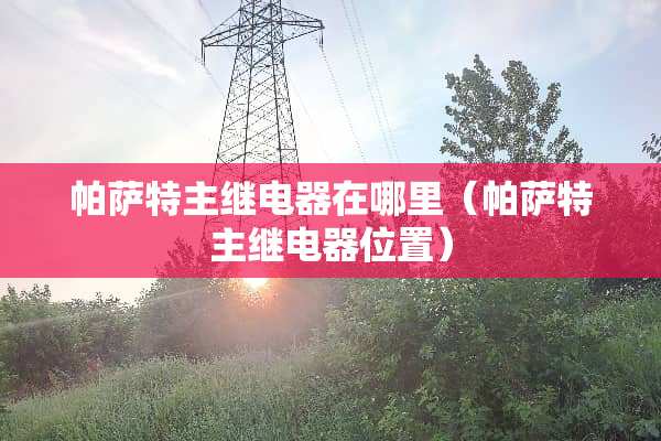 ***主继电器在哪里（***主继电器位置）