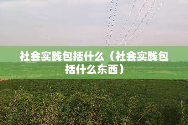社会实践包括什么（社会实践包括什么东西）