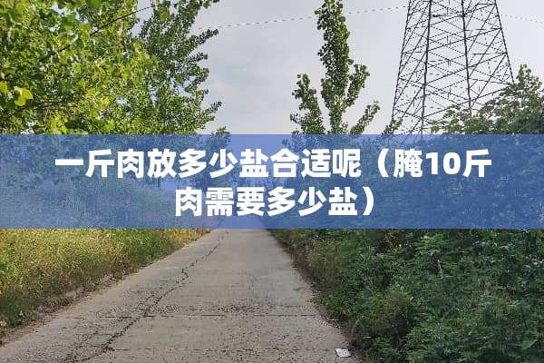 一斤肉放多少盐合适呢（腌10斤肉需要多少盐）