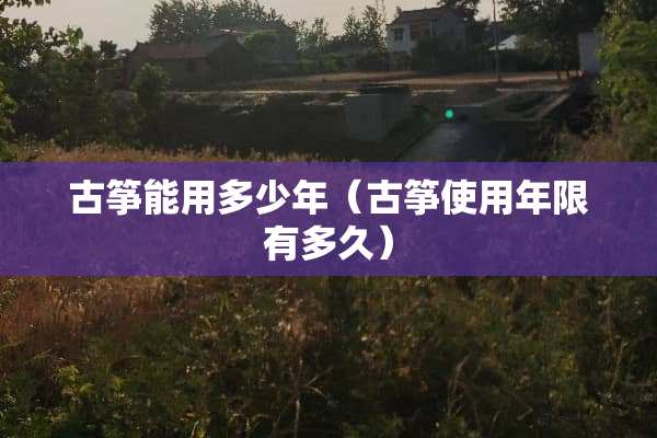 古筝能用多少年（古筝使用年限有多久）
