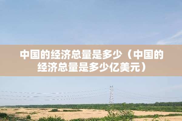 中国的经济总量是多少（中国的经济总量是多少亿美元）