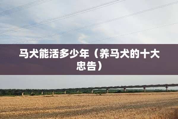 马犬能活多少年（养马犬的十大忠告）
