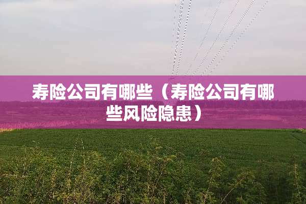寿险公司有哪些（寿险公司有哪些风险隐患）