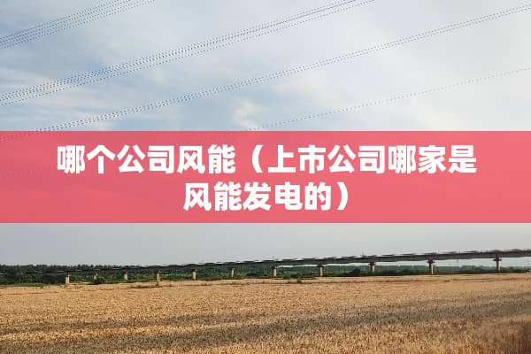 哪个公司风能（上市公司哪家是风能发电的）