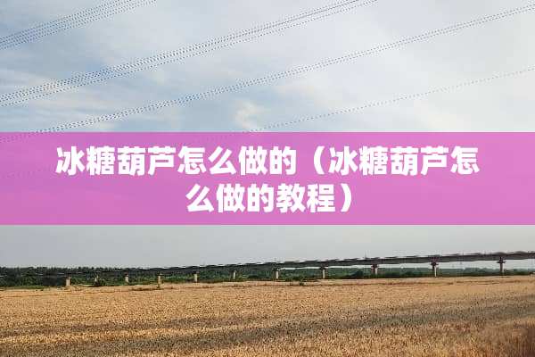 冰糖葫芦怎么做的（冰糖葫芦怎么做的教程）