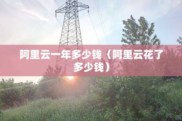 阿里云一年多少钱（阿里云花了多少钱）