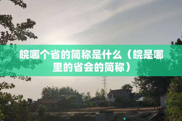 皖哪个省的简称是什么（皖是哪里的省会的简称）