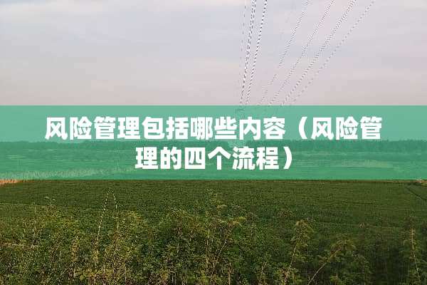 风险管理包括哪些内容（风险管理的四个流程）