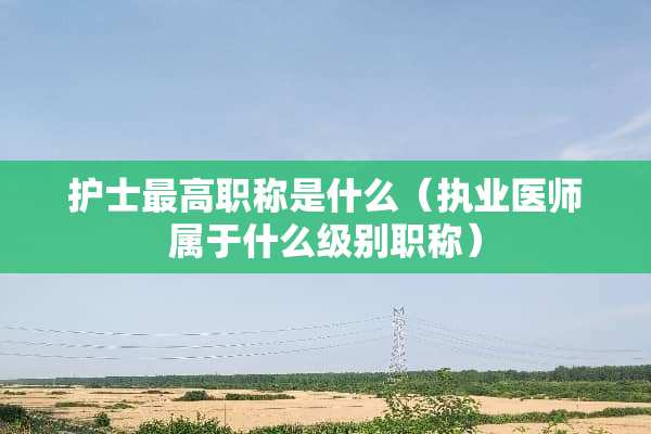 护士最高职称是什么（执业医师属于什么级别职称）