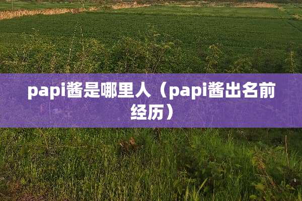 papi酱是哪里人（papi酱出名前经历）