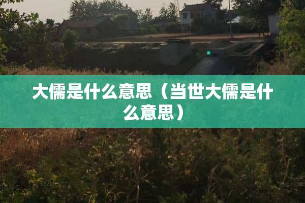 大儒是什么意思（当世大儒是什么意思）
