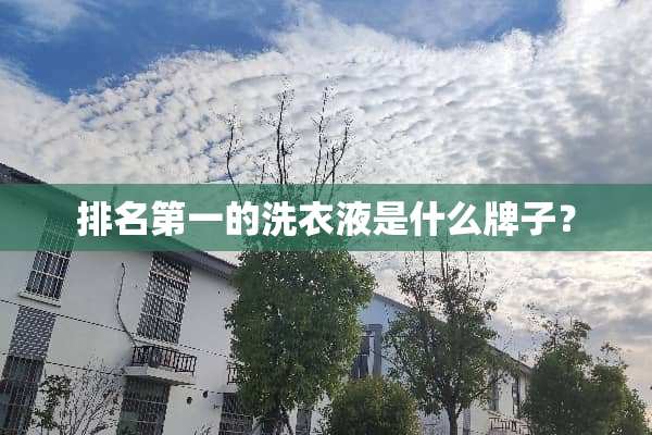 排名第一的洗衣液是什么牌子？