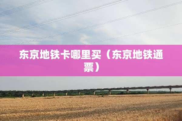 东京地铁卡哪里买（东京地铁通票）