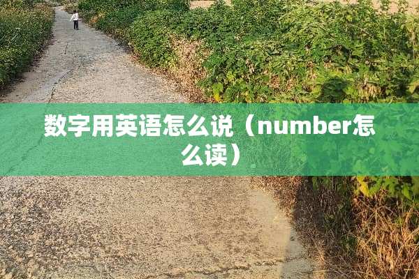数字用英语怎么说（number怎么读）