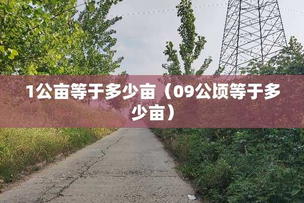 1公亩等于多少亩（09公顷等于多少亩）
