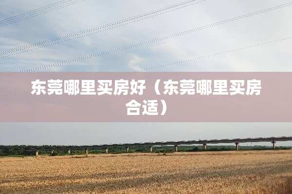 东莞哪里买房好（东莞哪里买房合适）