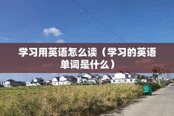 学习用英语怎么读（学习的英语单词是什么）