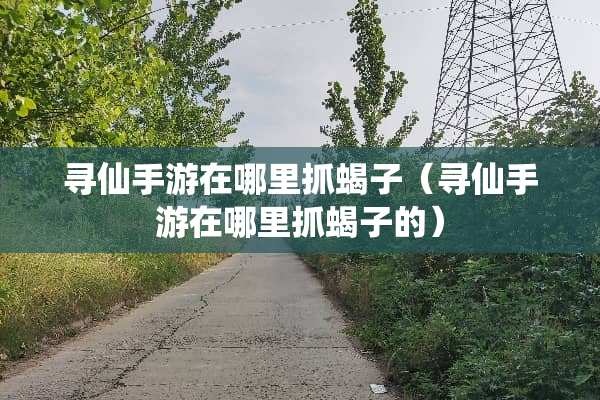 寻仙手游在哪里抓蝎子（寻仙手游在哪里抓蝎子的）