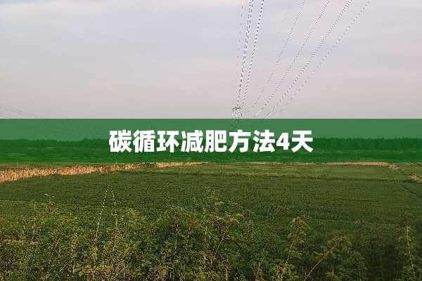 碳循环减肥方法4天