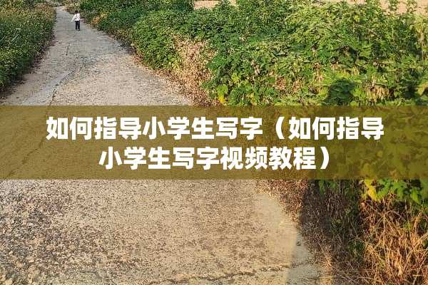 如何指导小学生写字（如何指导小学生写字视频教程）