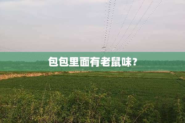 包包里面有老鼠味？