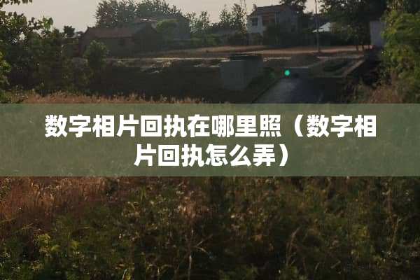 数字相片回执在哪里照（数字相片回执怎么弄）
