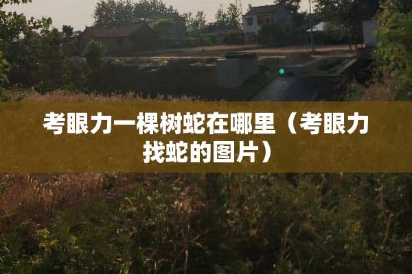 考眼力一棵树蛇在哪里（考眼力找蛇的图片）