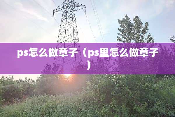 ps怎么做章子（ps里怎么做章子）