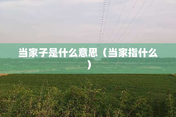 当家子是什么意思（当家指什么）
