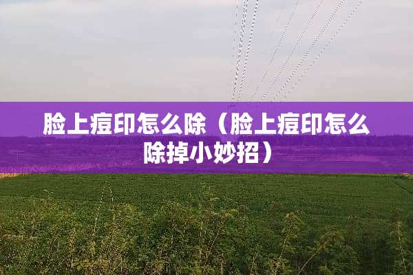 脸上痘印怎么除（脸上痘印怎么除掉小妙招）