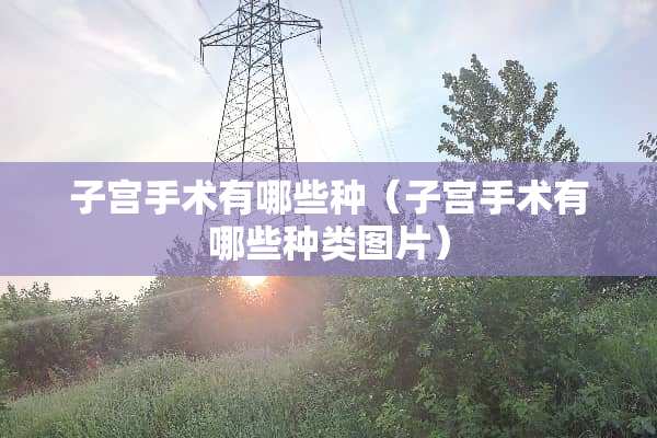 子宫手术有哪些种（子宫手术有哪些种类图片）