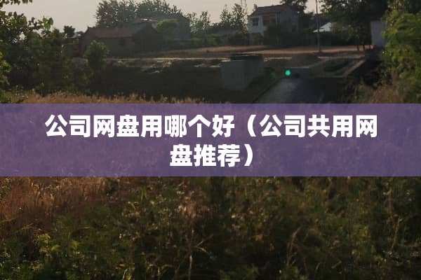 公司网盘用哪个好（公司共用网盘推荐）