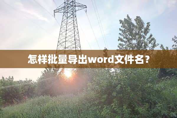 怎样批量导出word文件名？