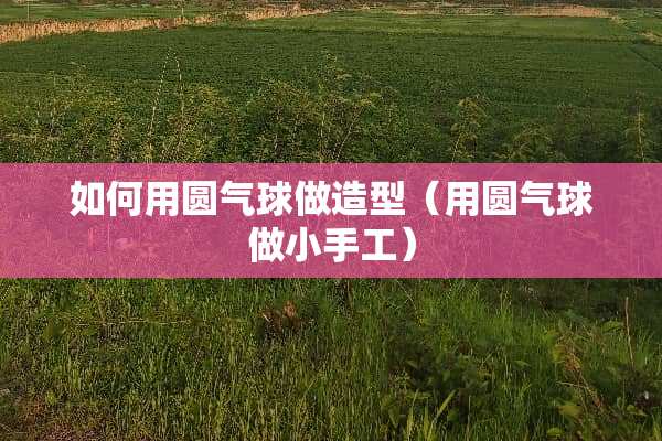 如何用圆气球做造型（用圆气球做小手工）