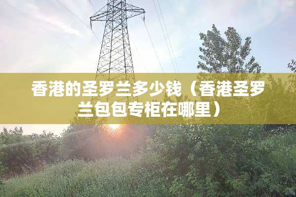 香港的圣罗兰多少钱（香港圣罗兰包包专柜在哪里）