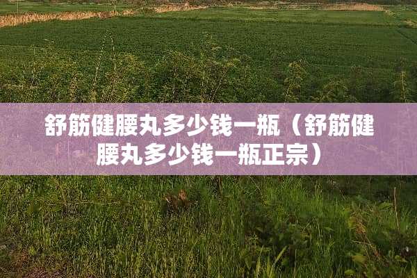 舒筋健腰丸多少钱一瓶（舒筋健腰丸多少钱一瓶正宗）