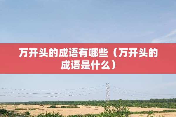 万开头的成语有哪些（万开头的成语是什么）