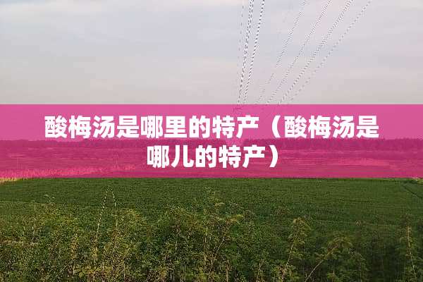 酸梅汤是哪里的特产（酸梅汤是哪儿的特产）
