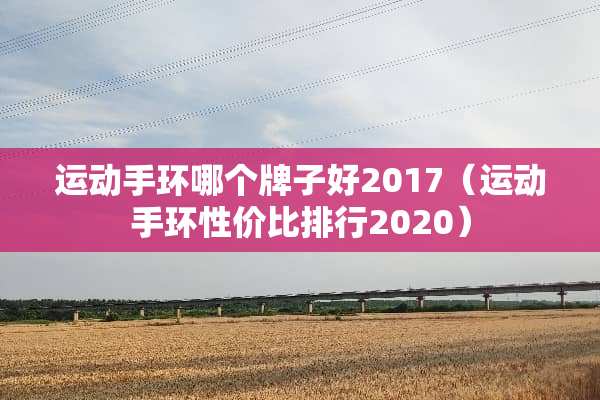 运动手环哪个牌子好2017（运动手环性价比排行2020）