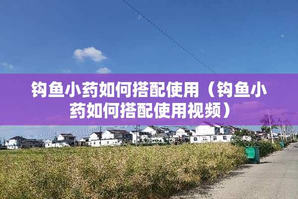 钩鱼小药如何搭配使用（钩鱼小药如何搭配使用视频）