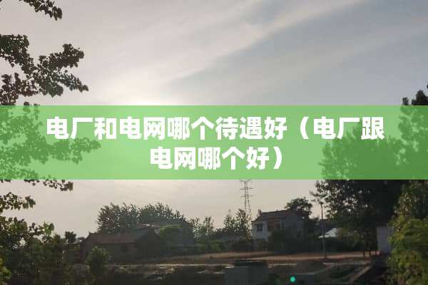 电厂和电网哪个待遇好（电厂跟电网哪个好）
