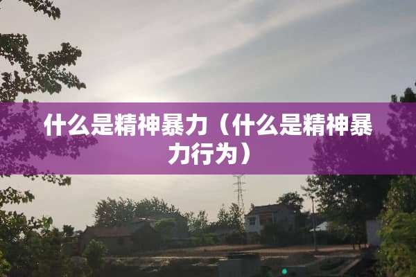 什么是精神**（什么是精神**行为）