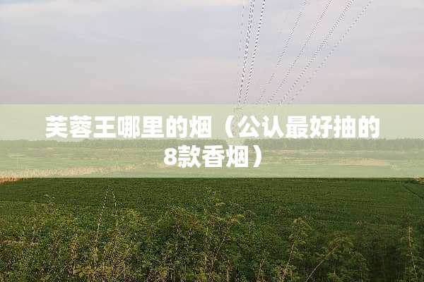芙蓉王哪里的烟（公认最好抽的8款香烟）