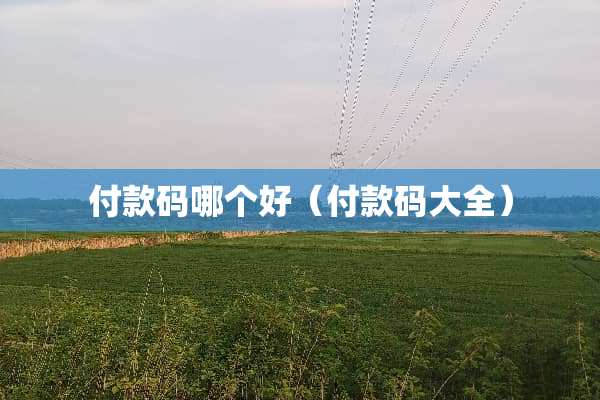 付款码哪个好（付款码大全）