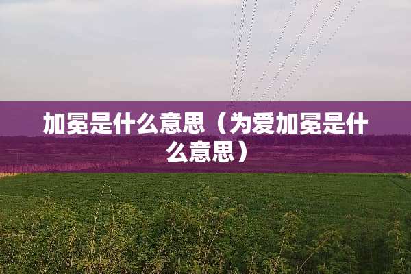 加冕是什么意思（为爱加冕是什么意思）