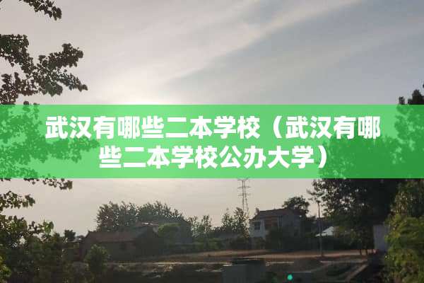 武汉有哪些二本学校（武汉有哪些二本学校公办大学）