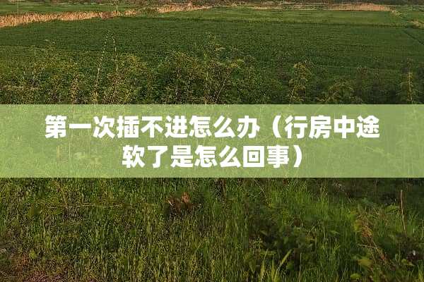第一次插不进怎么办（**中途软了是怎么回事）
