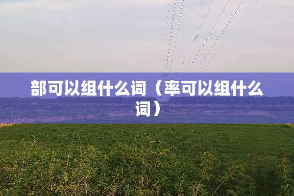 部可以组什么词（率可以组什么词）