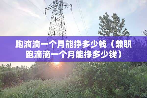 跑滴滴一个月能挣多少钱（兼职跑滴滴一个月能挣多少钱）