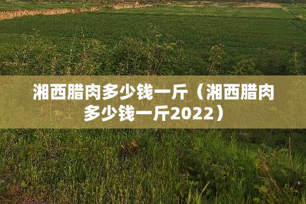 湘西腊肉多少钱一斤（湘西腊肉多少钱一斤2022）